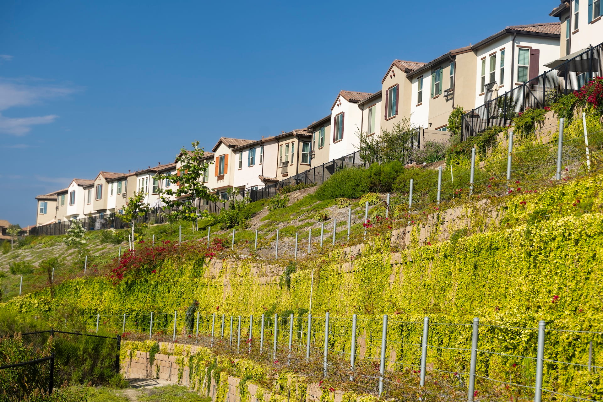 Strand @ Melrose &mdash; photo 2 of 3